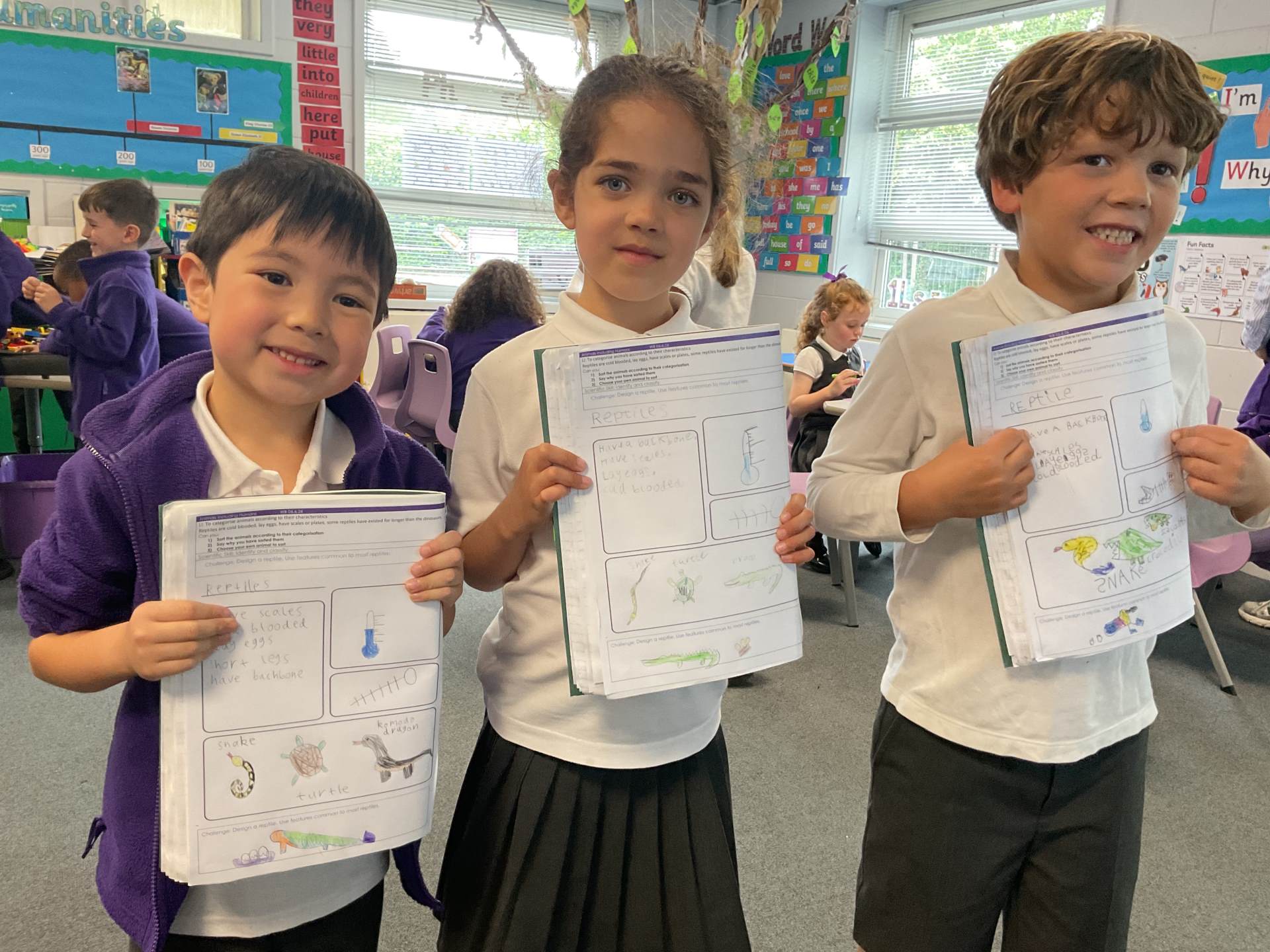 Year One - All about Animals
